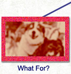 What For? - more sled dogs