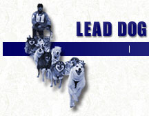 Lead Dog