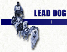 Lead Dog